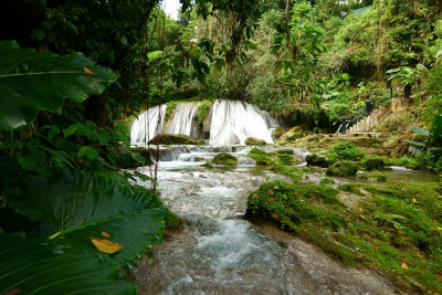 Reach Falls and lush rain forest in Portland parish Jamaica 3